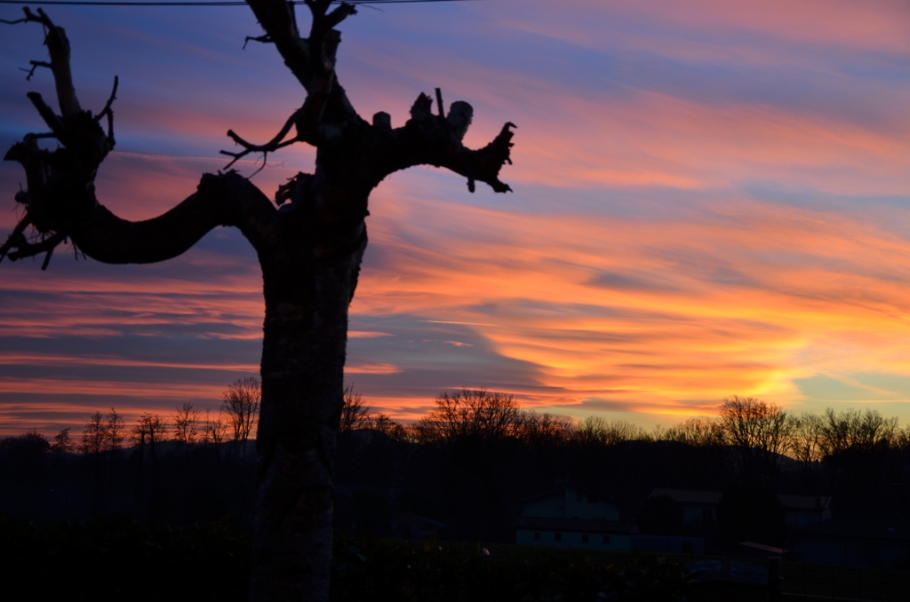 Prima silhouette al tramonto