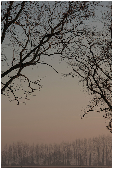 Intrecci e in sottofondo...la sera.