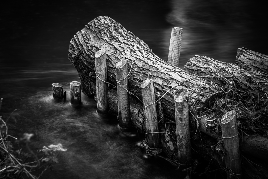 Stream of consciousness