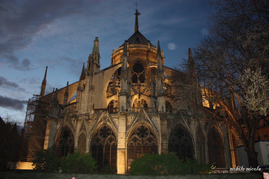 notre dame vista dietro