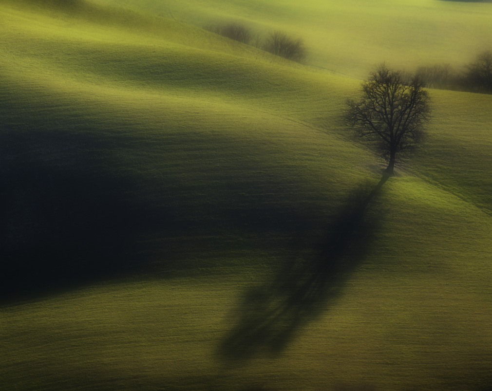 Esperimento effetto flou