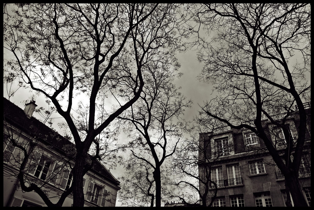 Alberi - Montmartre