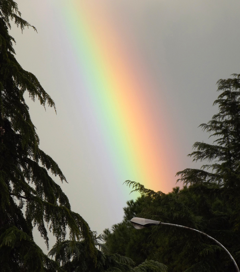 Arcobaleno