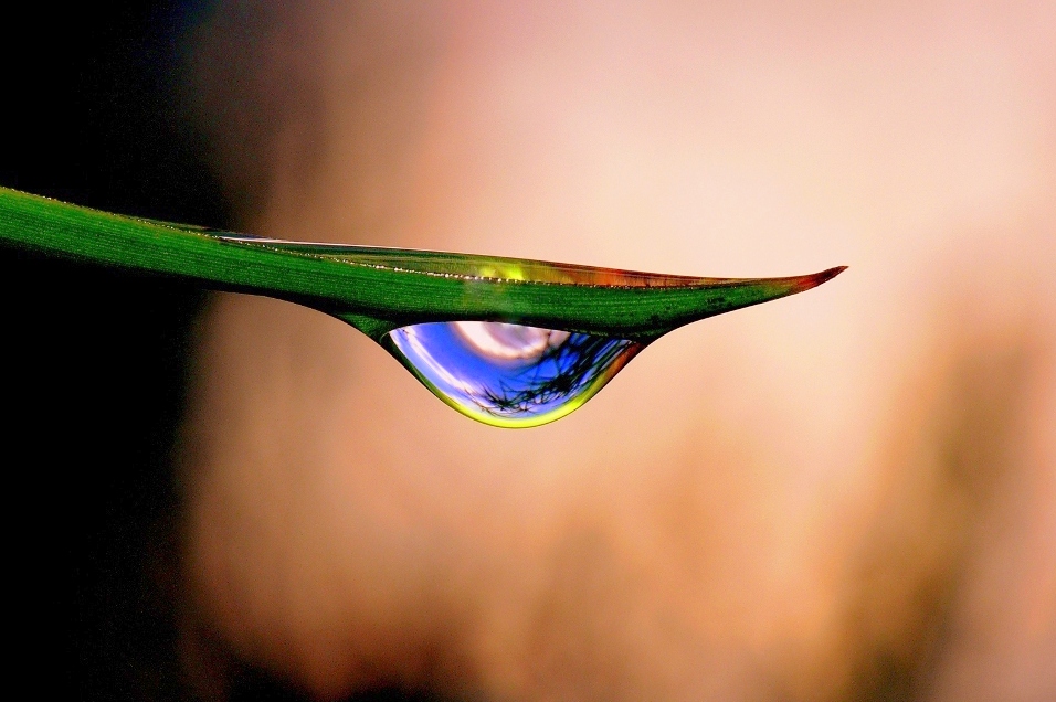 *** Goccia tropicale ***