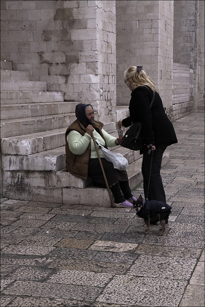 La signora, il cagnetto e l'offerta