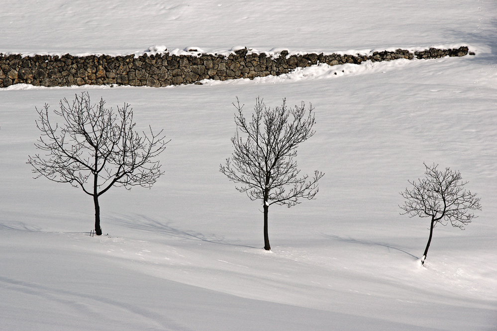 Colli Berici: trio invernale