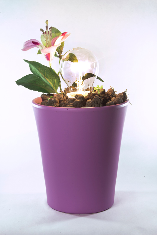 contest 68 - illuminazione artificiale