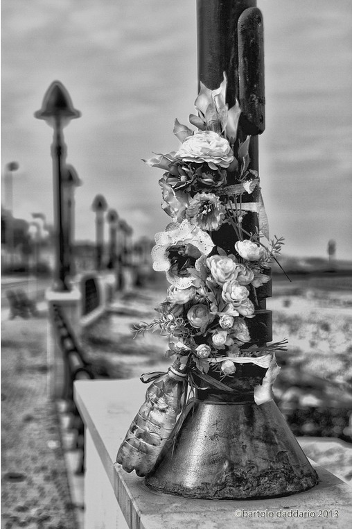 un fiore per ricordare