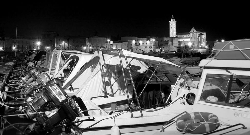 Trani - dal porto...