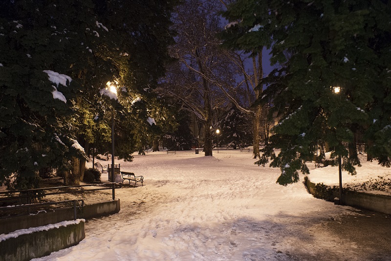 Neve ai giardini