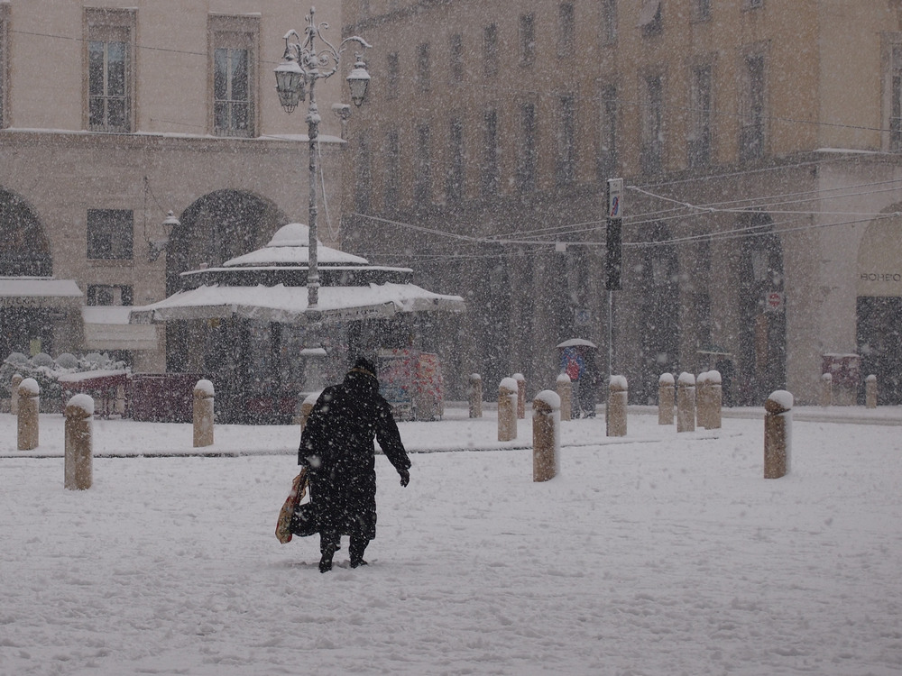 Nevicata in citt�