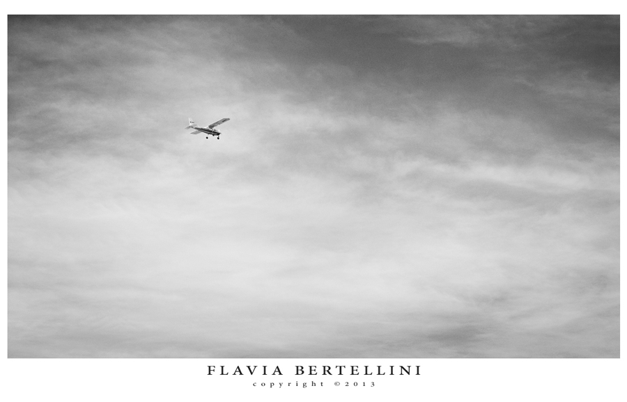 Iodio e nicotina #13