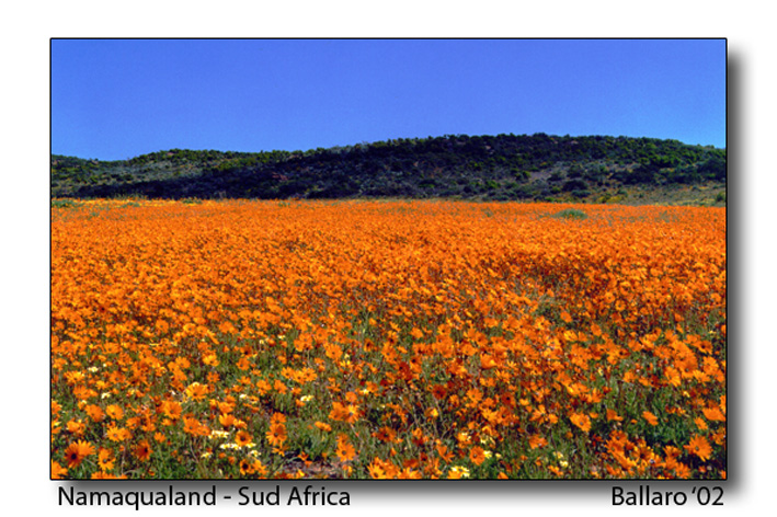 Namaqualand