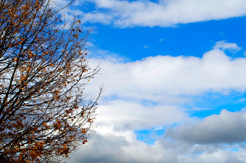 contrasti di stagioni