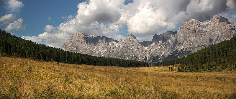Pale di San Martino (da Calaita)