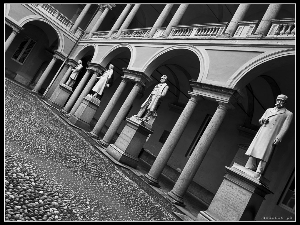 Universit� di Pavia