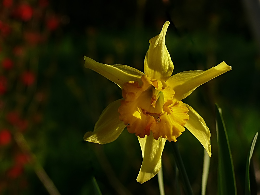 *** E' tornato il sole ***