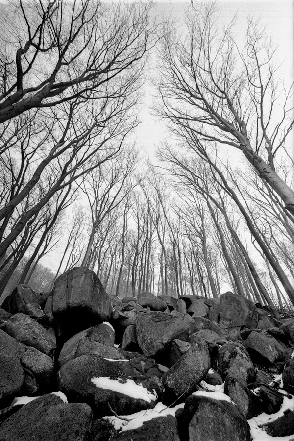 Felsenmeer, Odenwald