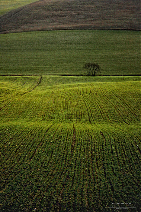 Linee tra le colline