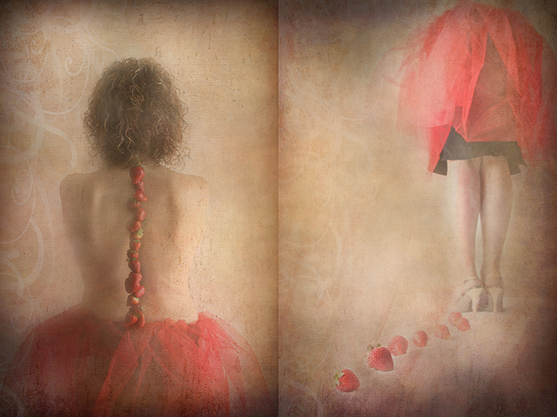 Il sentiero delle fragole