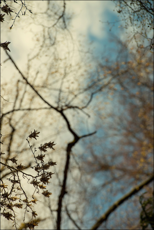 Astratto nel tingersi d'azzurro..