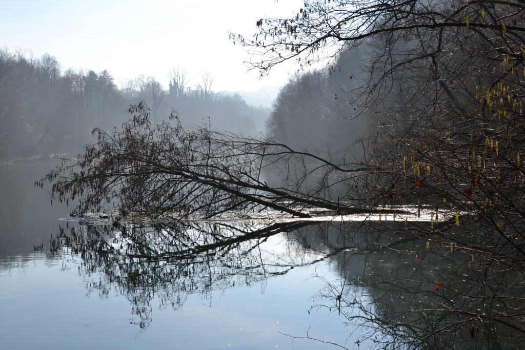 aspettando la primavera