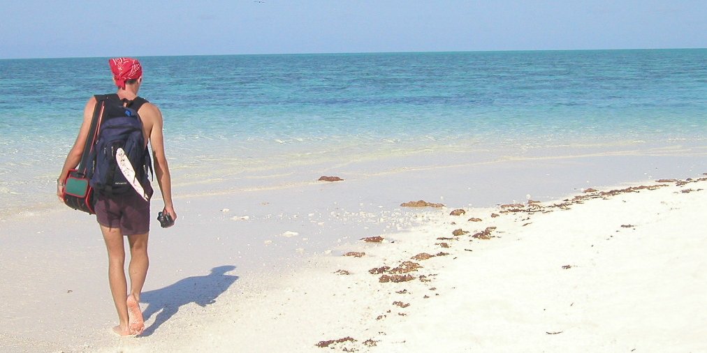 passeggiata a shark bay