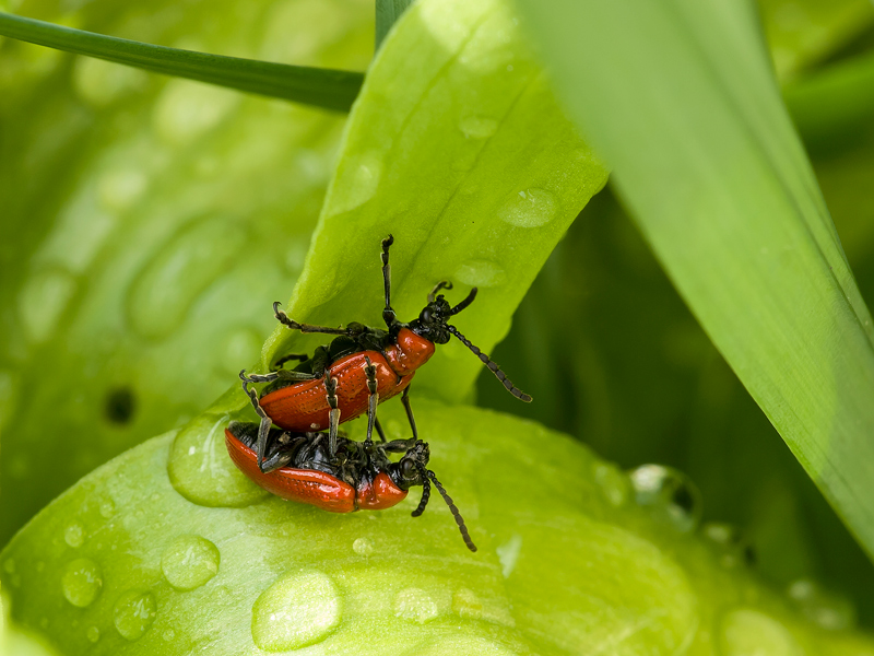 ....anche sotto la pioggia....!!!