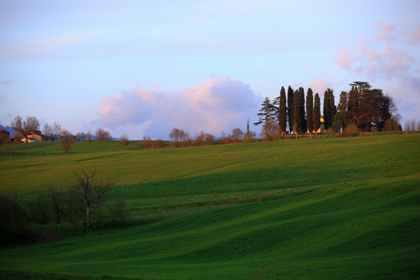 Toscana (Mugello) NON SOLO VALD'ORCIA !