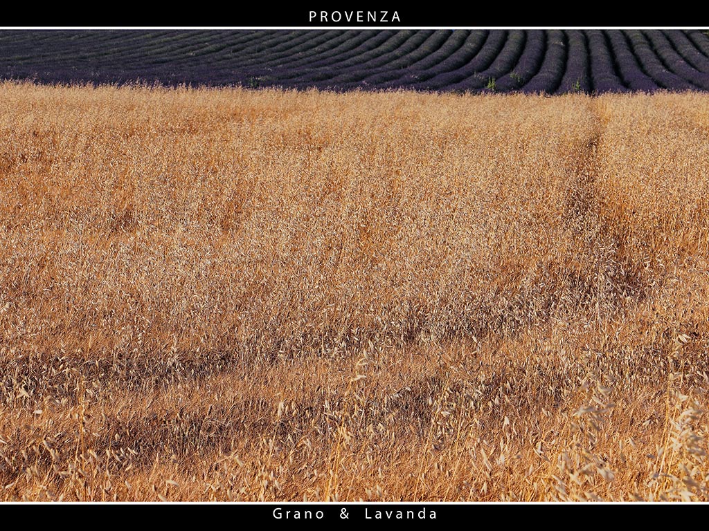 Provenza # 39 - The End