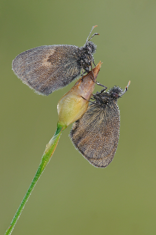 In due ci si sta bene