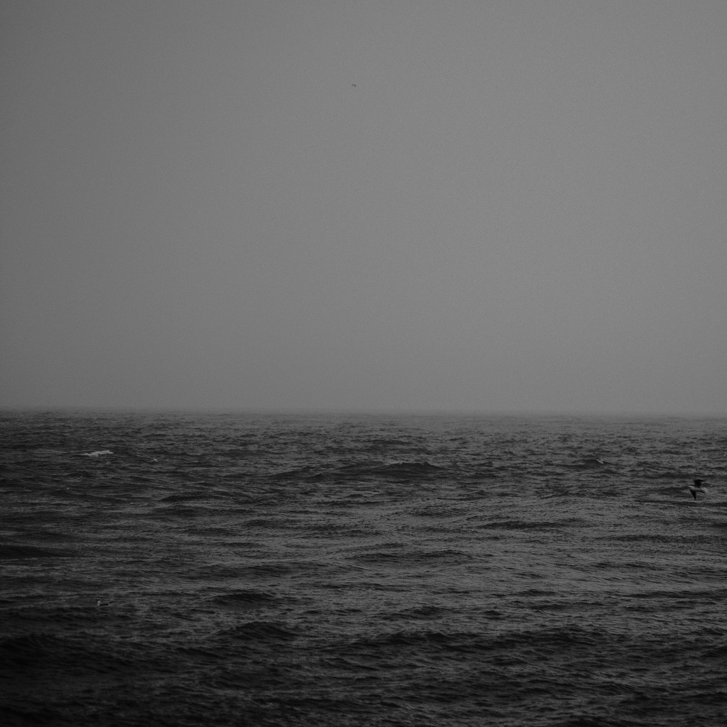 Postcard from the sea