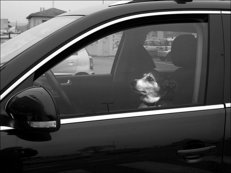 Finalmente guido io!