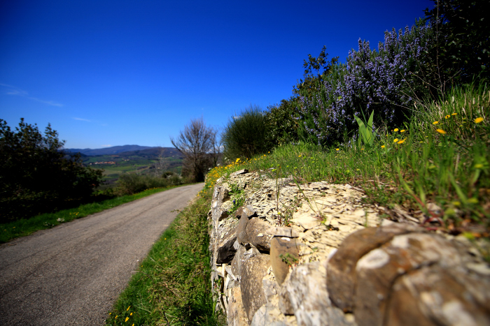 muro di cinta toscano