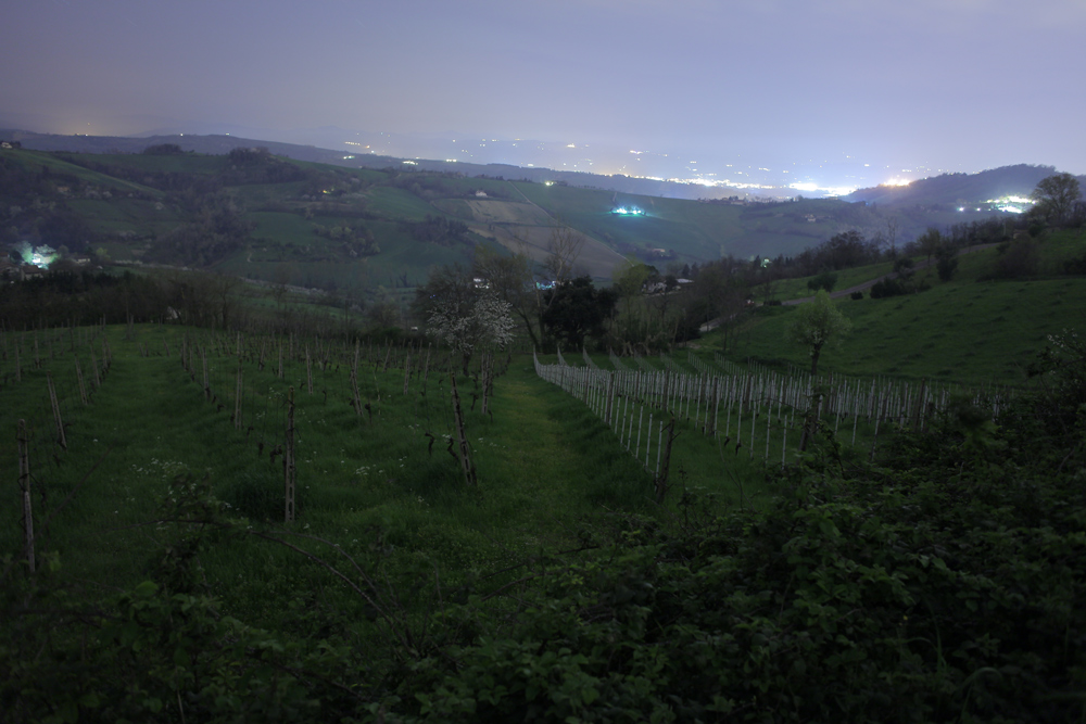 Bertinoro di notte.