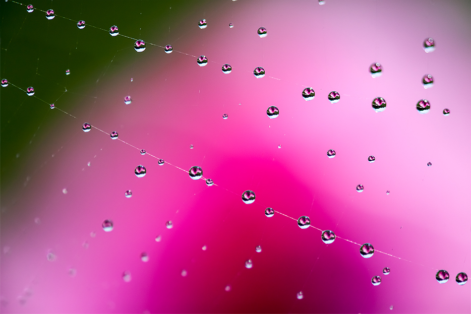drops