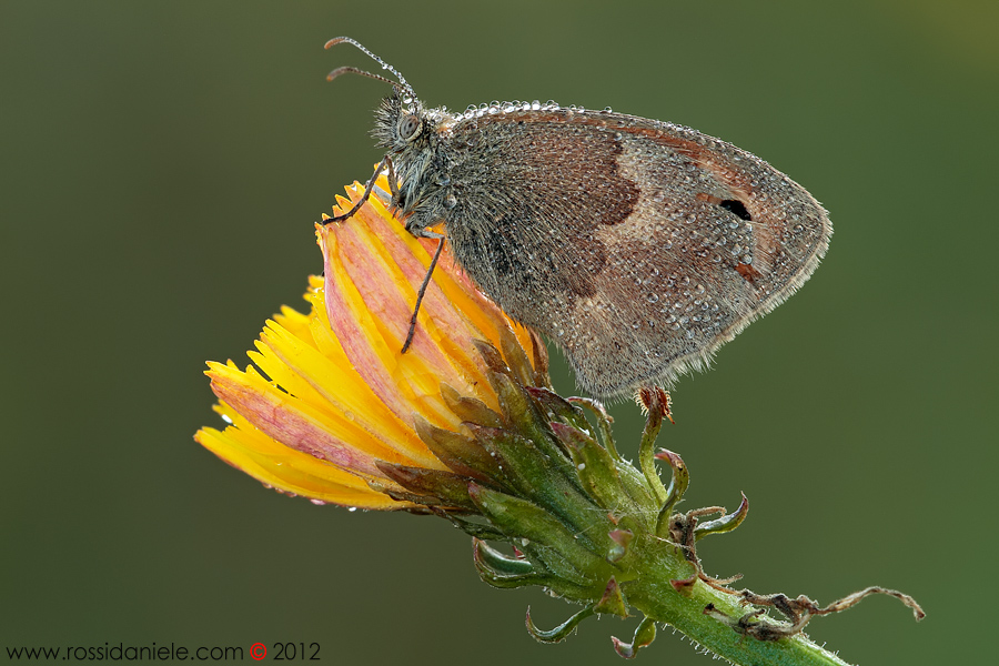 Aspettando l'ora giusta...