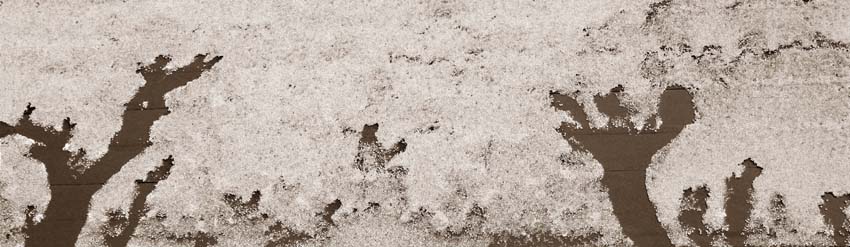 [Foto] Quando la Natura diventa "pittore"