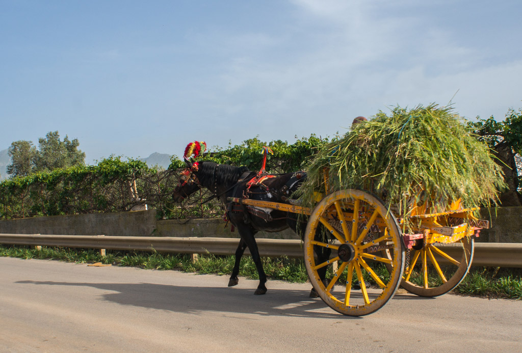 Carretto Siciliano