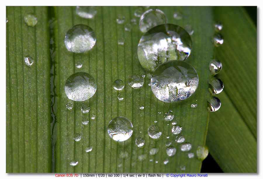 More Rain Drops