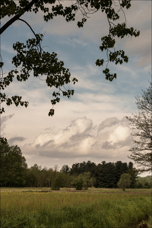 Un mattino di tregua...
