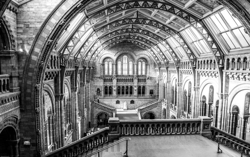 National History Museum, London.