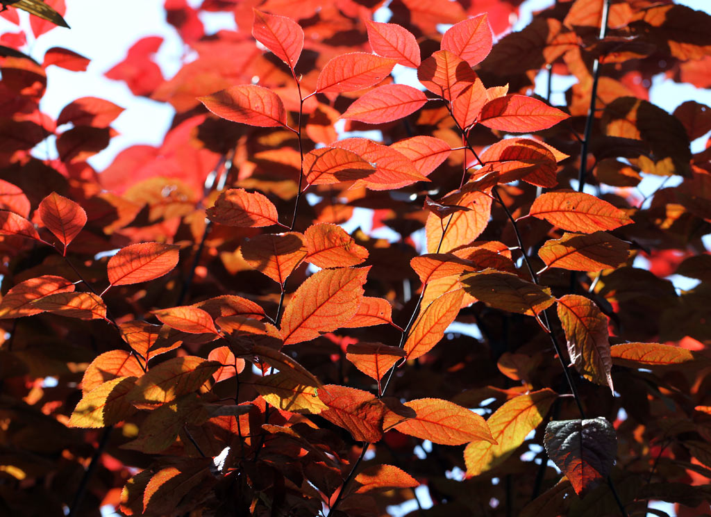 L' incanto della Luce