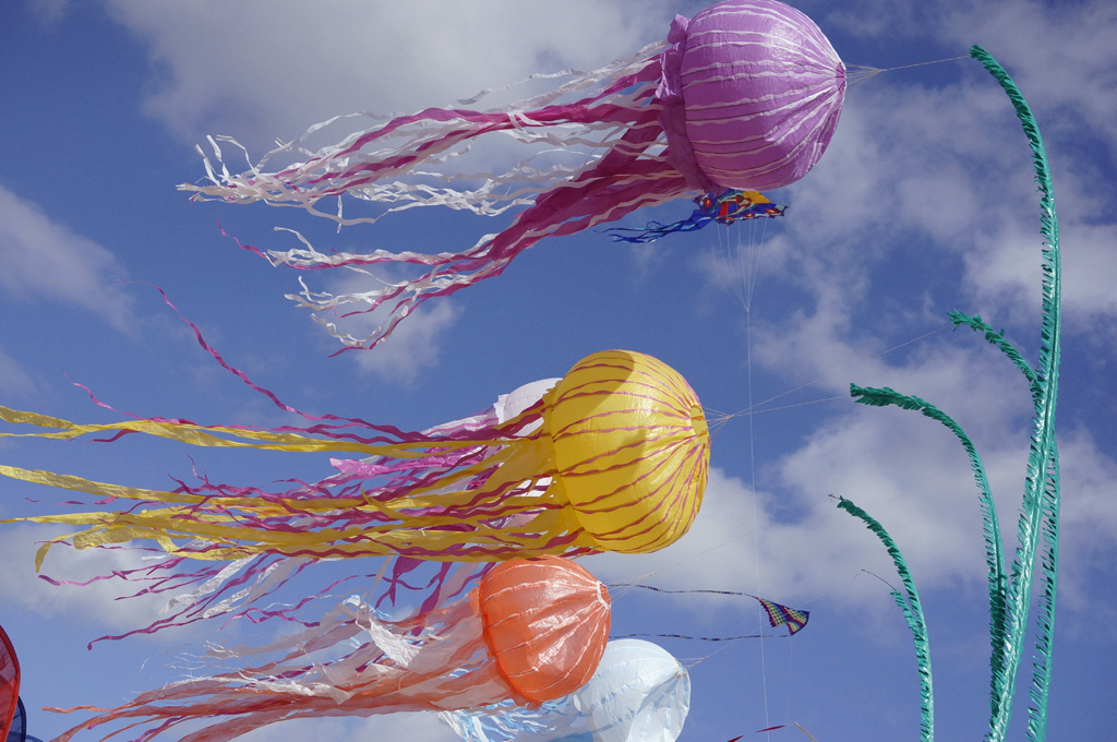 Volare � sognare...