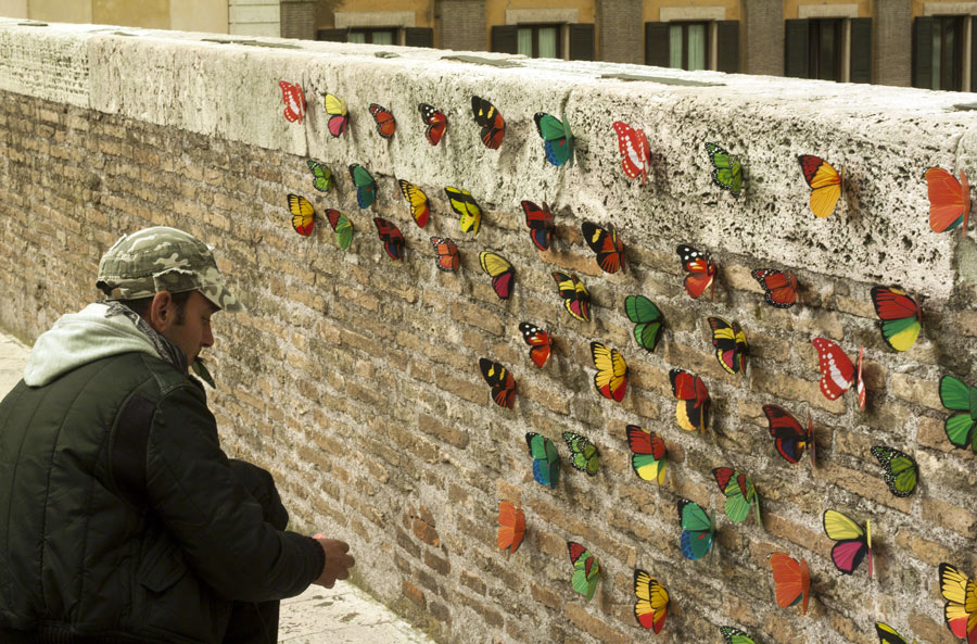 Un mondo di farfalle