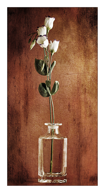 Il mio still life II