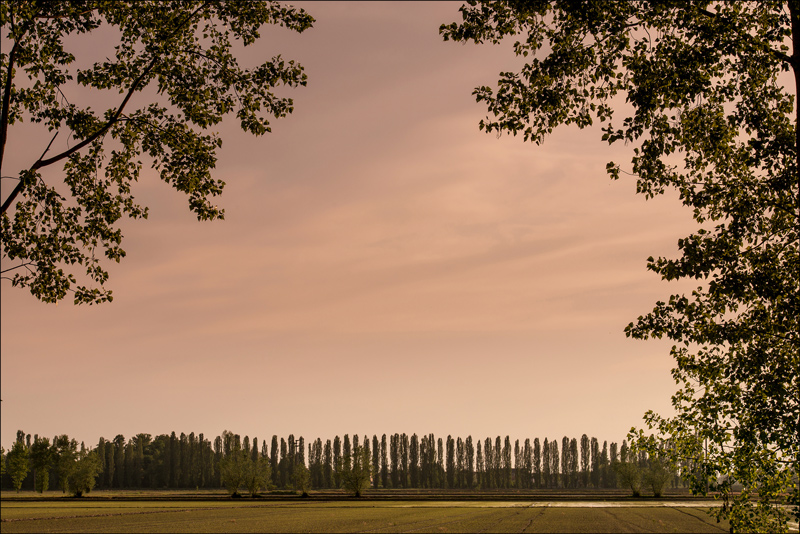 Di rosa si addensa la sera...