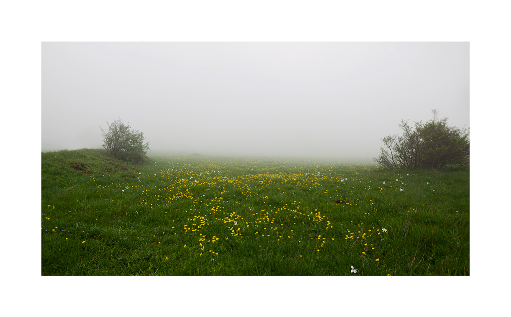 .....stanno avanzando.....