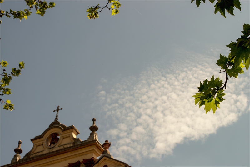 Alzando gli occhi...