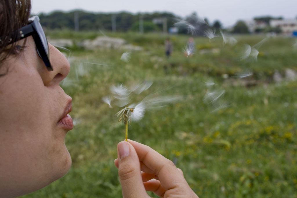 Soffiando "i capelli d'angelo"